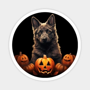 Norwegian Elkhound Halloween Puppy Magnet